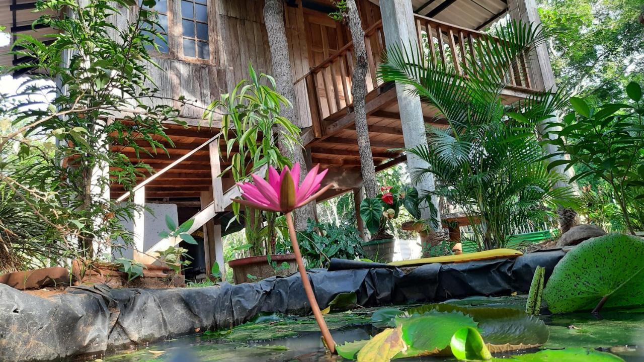 Ruk Sewana Villa Tree House Sigiriya Ngoại thất bức ảnh
