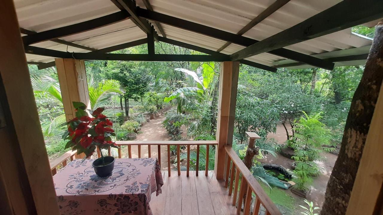 Ruk Sewana Villa Tree House Sigiriya Ngoại thất bức ảnh