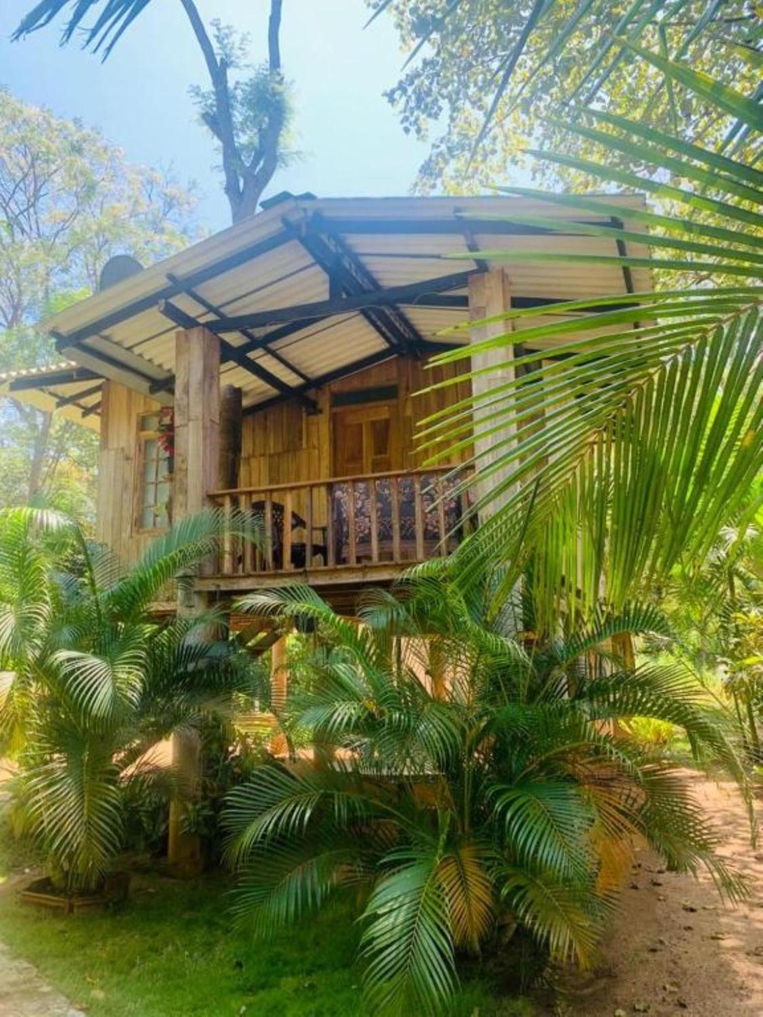 Ruk Sewana Villa Tree House Sigiriya Ngoại thất bức ảnh